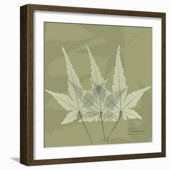 Green Leaf Square 3-Albert Koetsier-Framed Art Print