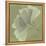 Green Leaf Square 5-Albert Koetsier-Framed Stretched Canvas