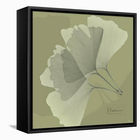 Green Leaf Square 5-Albert Koetsier-Framed Stretched Canvas