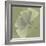 Green Leaf Square 5-Albert Koetsier-Framed Premium Giclee Print