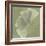 Green Leaf Square 5-Albert Koetsier-Framed Premium Giclee Print