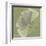 Green Leaf Square 5-Albert Koetsier-Framed Art Print