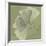 Green Leaf Square 5-Albert Koetsier-Framed Premium Giclee Print