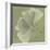 Green Leaf Square 5-Albert Koetsier-Framed Art Print