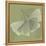 Green Leaf Square 6-Albert Koetsier-Framed Stretched Canvas