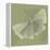 Green Leaf Square 6-Albert Koetsier-Framed Stretched Canvas