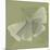 Green Leaf Square 6-Albert Koetsier-Mounted Premium Giclee Print
