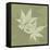 Green Leaf Square 7-Albert Koetsier-Framed Stretched Canvas