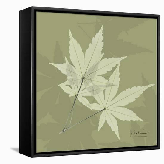 Green Leaf Square 7-Albert Koetsier-Framed Stretched Canvas