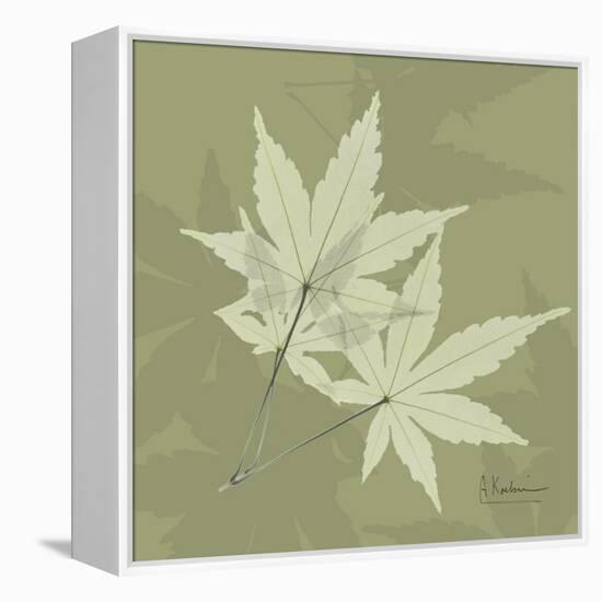 Green Leaf Square 7-Albert Koetsier-Framed Stretched Canvas