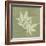 Green Leaf Square 7-Albert Koetsier-Framed Premium Giclee Print