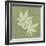 Green Leaf Square 7-Albert Koetsier-Framed Premium Giclee Print