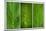Green Leaf Triptych-Steve Gadomski-Mounted Photographic Print