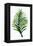 Green Leaf-Elizabeth Medley-Framed Stretched Canvas