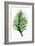 Green Leaf-Elizabeth Medley-Framed Art Print