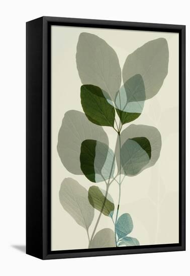 Green Leaves 10-Ian Winstanley-Framed Stretched Canvas