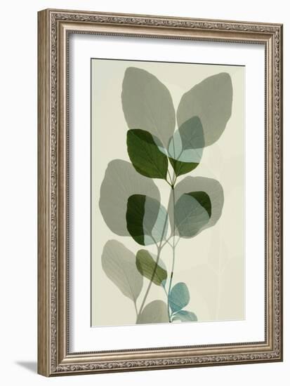 Green Leaves 10-Ian Winstanley-Framed Art Print