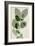 Green Leaves 10-Ian Winstanley-Framed Art Print