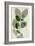 Green Leaves 10-Ian Winstanley-Framed Art Print