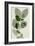 Green Leaves 10-Ian Winstanley-Framed Art Print