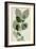 Green Leaves 10-Ian Winstanley-Framed Art Print