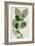 Green Leaves 10-Ian Winstanley-Framed Premium Giclee Print