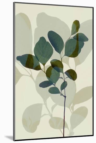 Green Leaves 7-Ian Winstanley-Mounted Art Print