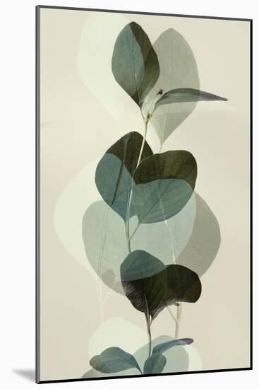 Green Leaves 8-Ian Winstanley-Mounted Art Print