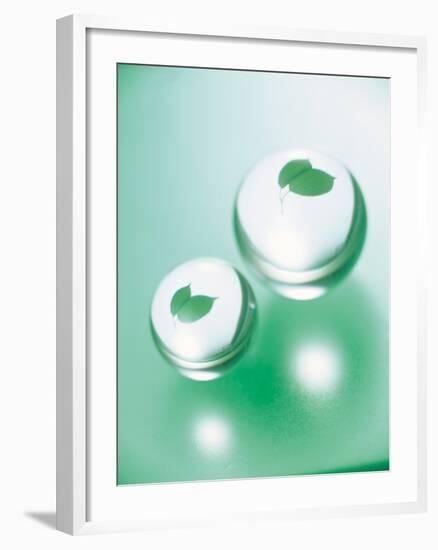 Green Leaves Inside Water Drops-null-Framed Photographic Print