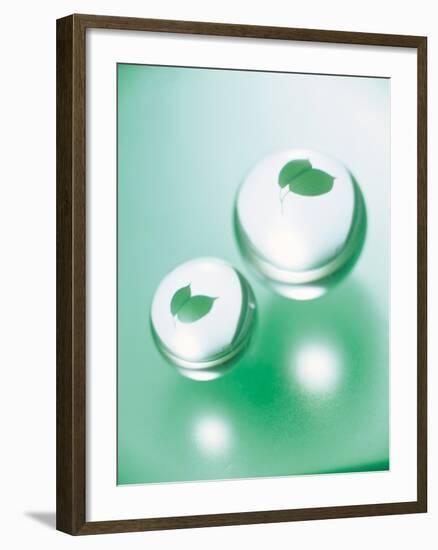 Green Leaves Inside Water Drops-null-Framed Photographic Print