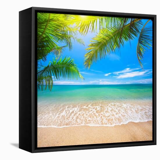 Green Leaves of Palm Tree and Tropical Beach-Aleksandr Ozerov-Framed Premier Image Canvas