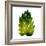 Green Leaves Square I-Elizabeth Medley-Framed Art Print