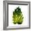 Green Leaves Square I-Elizabeth Medley-Framed Art Print