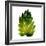 Green Leaves Square I-Elizabeth Medley-Framed Art Print