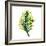 Green Leaves Square II-Elizabeth Medley-Framed Art Print