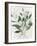 Green Leaves Vase I-Aria K-Framed Art Print