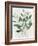 Green Leaves Vase I-Aria K-Framed Art Print