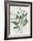 Green Leaves Vase I-Aria K-Framed Art Print