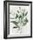 Green Leaves Vase I-Aria K-Framed Art Print