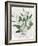 Green Leaves Vase I-Aria K-Framed Art Print