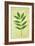 Green Leaves-Den Reader-Framed Photographic Print