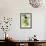 Green Lemonade-Kari Taylor-Framed Giclee Print displayed on a wall