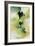 Green Lemonade-Kari Taylor-Framed Giclee Print