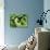 Green Lettuce-Clara Gonzalez-Photographic Print displayed on a wall