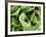 Green Lettuce-Clara Gonzalez-Framed Photographic Print