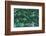 Green Liana-prajit48-Framed Photographic Print