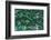 Green Liana-prajit48-Framed Photographic Print