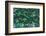 Green Liana-prajit48-Framed Photographic Print