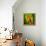 Green Light-Philippe Sainte-Laudy-Framed Premier Image Canvas displayed on a wall