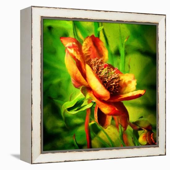 Green Light-Philippe Sainte-Laudy-Framed Premier Image Canvas